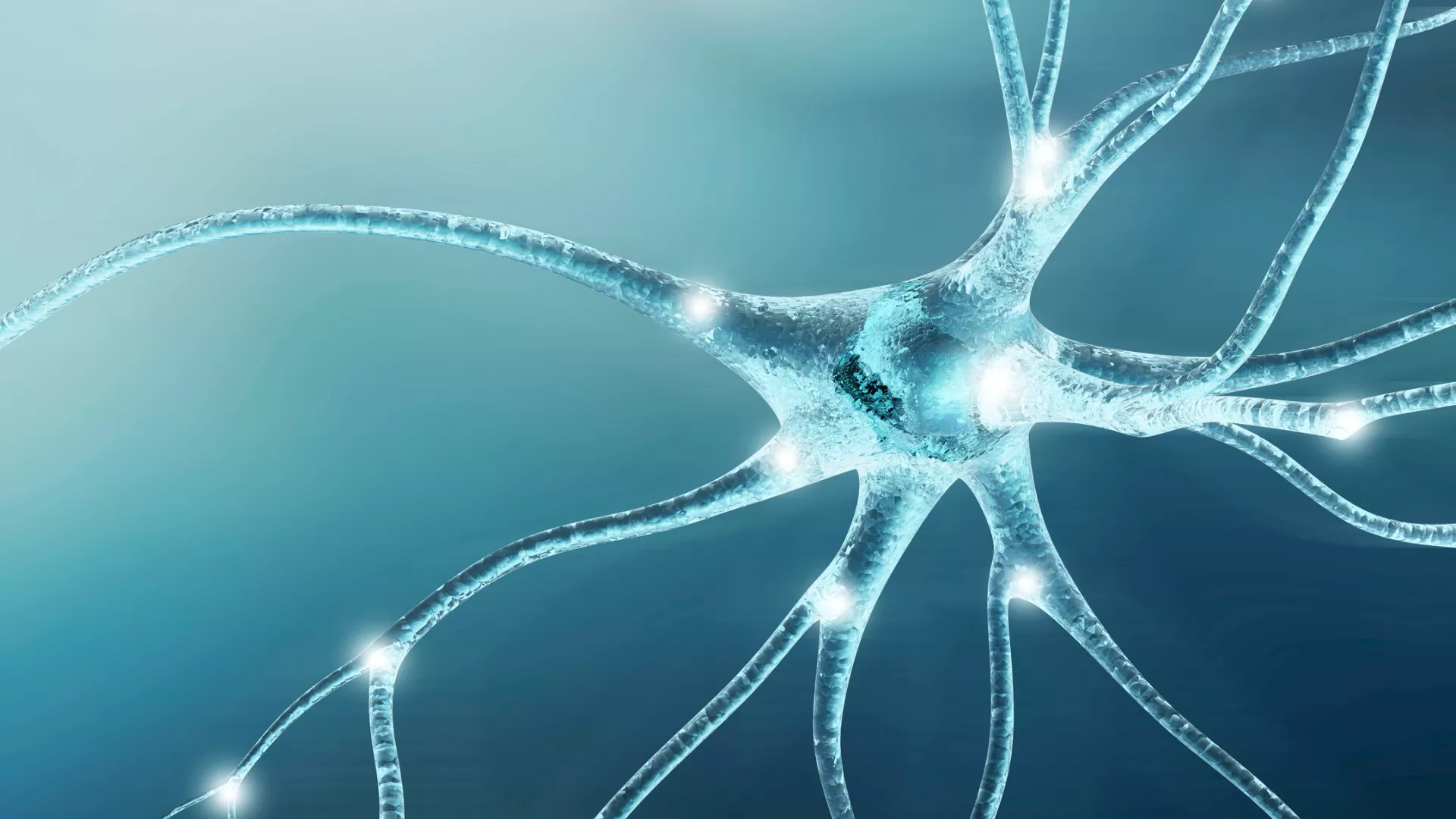 Fellowship In Neuro Emergencies